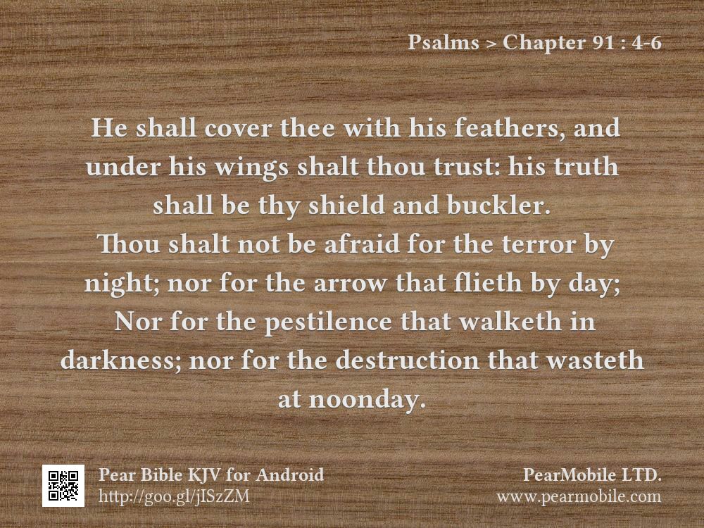 Psalms, Chapter 91:4-6